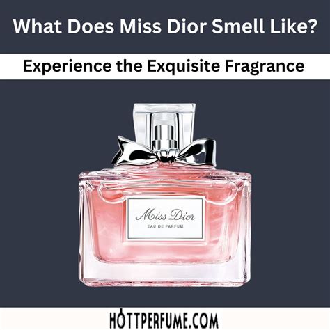 dior l eau|what does miss Dior smell like.